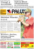 Pałuki