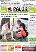 Pałuki i Ziemia Mogileńska