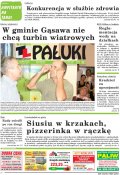 Pałuki
