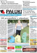 Pałuki i Ziemia Mogileńska