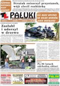 Pałuki i Ziemia Mogileńska