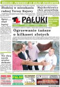 Pałuki i Ziemia Mogileńska