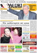 Pałuki i Ziemia Mogileńska