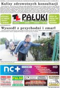 Pałuki i Ziemia Mogileńska