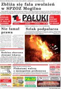 Pałuki i Ziemia Mogileńska