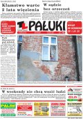 Pałuki