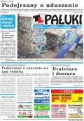 Pałuki