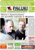 Pałuki i Ziemia Mogileńska