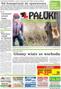 Pałuki