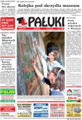 Pałuki
