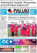 Pałuki i Ziemia Mogileńska