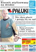 Pałuki