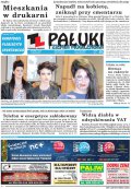 Pałuki i Ziemia Mogileńska