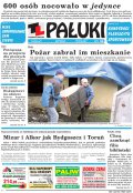 Pałuki
