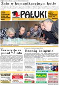 Pałuki