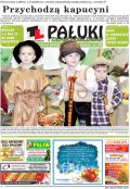 Pałuki i Ziemia Mogileńska