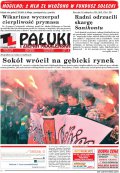 Pałuki i Ziemia Mogileńska