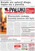 Pałuki