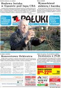 Pałuki