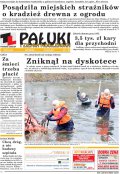Pałuki i Ziemia Mogileńska
