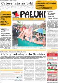 Pałuki