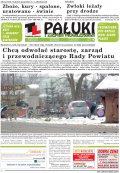 Pałuki i Ziemia Mogileńska