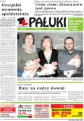 Pałuki