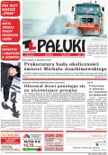 Pałuki