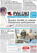 Pałuki i Ziemia Mogileńska