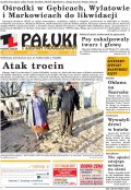 Pałuki i Ziemia Mogileńska