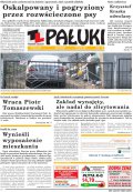 Pałuki