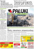 Pałuki