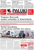 Pałuki i Ziemia Mogileńska