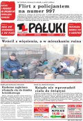 Pałuki