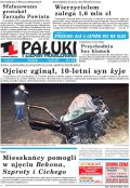 Pałuki i Ziemia Mogileńska
