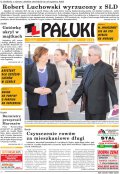 Pałuki