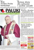 Pałuki i Ziemia Mogileńska