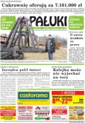 Pałuki