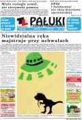 Pałuki i Ziemia Mogileńska
