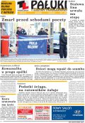 Pałuki i Ziemia Mogileńska