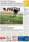 Pałuki