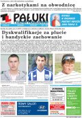 Pałuki i Ziemia Mogileńska