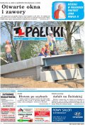 Pałuki