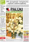 Pałuki i Ziemia Mogileńska