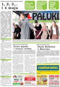 Pałuki