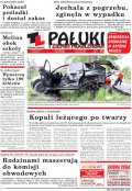 Pałuki i Ziemia Mogileńska