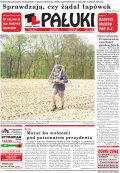Pałuki