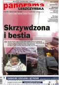 Panorama Leszczyńska