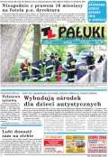 Pałuki i Ziemia Mogileńska