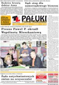 Pałuki i Ziemia Mogileńska